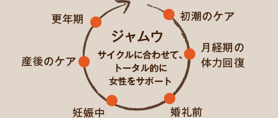 カラダの内（なか）から綺麗になるという総合美容理論